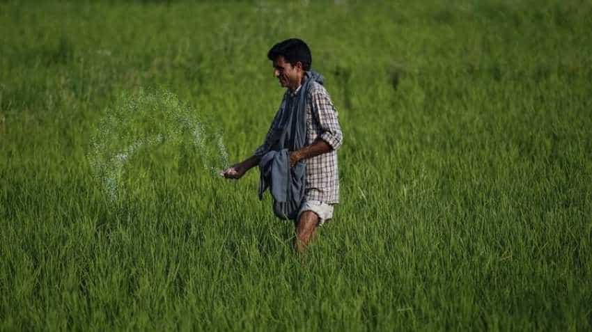 Centre takes steps to make India self-sufficient in Urea sector, set to revive 5 closed fertilizer plants Centre takes steps to make India self-sufficient in Urea sector, set to revive 5 closed fertilizer plants