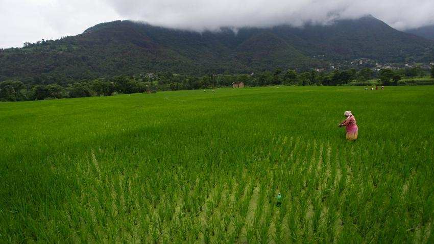 Big agricultural boost expected in first Budget of Modi 2.0 Big agricultural boost expected in first Budget of Modi 2.0