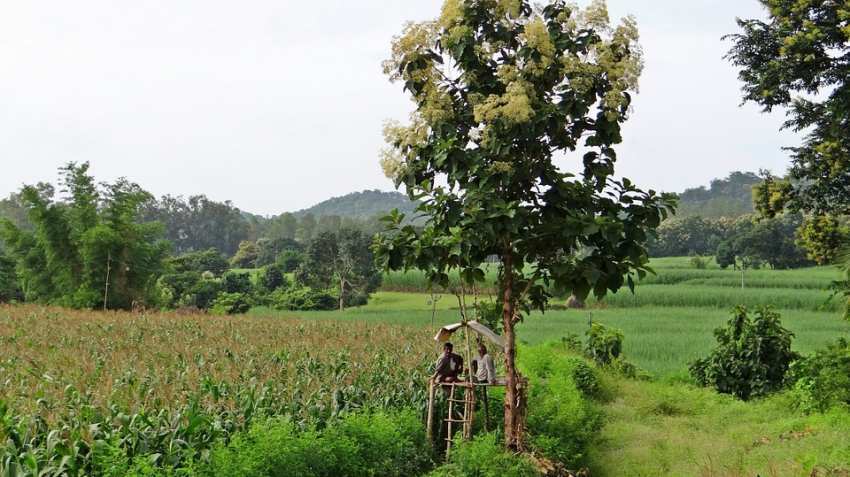 This agri tech startup is helping farmers earn 30 percent more income! This agri tech startup is helping farmers earn 30 percent more income!