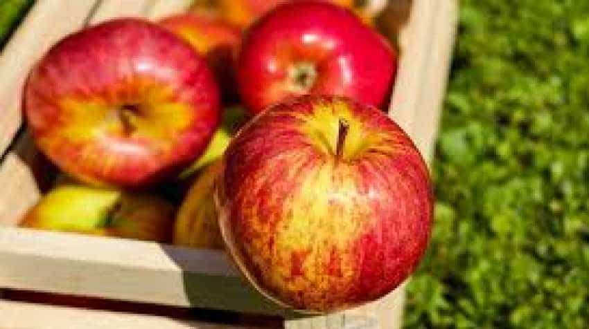 An apple a day is 100 mn bacteria! Is it good or bad for your stomach? Find out An apple a day is 100 mn bacteria! Is it good or bad for your stomach? Find out