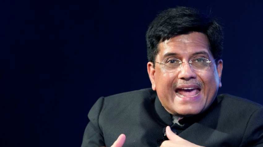 Piyush Goyal leads Chief Ministerial delegation to Vladivostok in Russia