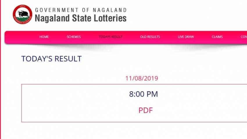 Nagaland Dear Hawk Evening Lottery Result Out today at 8 pm - check prize money