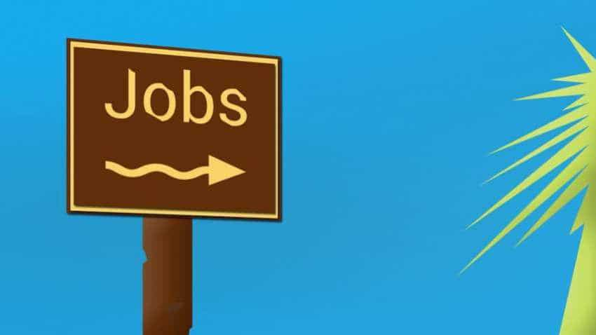 This  government job pays Rs 1,60,000! 203 vacancies available; apply this way to grab vacancy