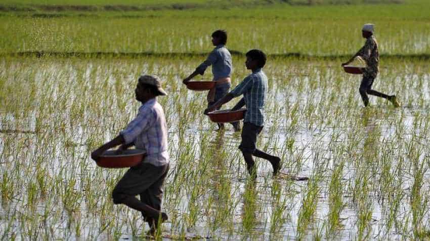 Kisan Milan: SBI to connect with 10 lakh farmers through mega meet Kisan Milan: SBI to connect with 10 lakh farmers through mega meet