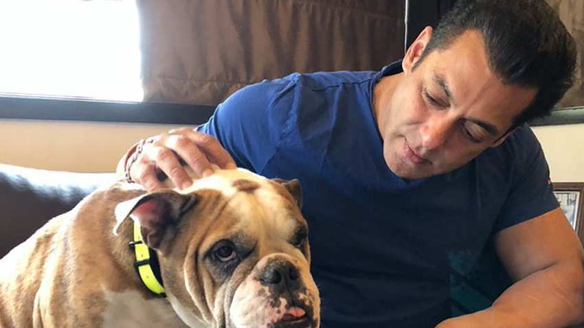 Box office tsunami delayed? Salman Khan's Inshallah release postponed! Actor says will still see you on Eid 2020 Box office tsunami delayed? Salman Khan's Inshallah release postponed! Actor says will still see you on Eid 2020