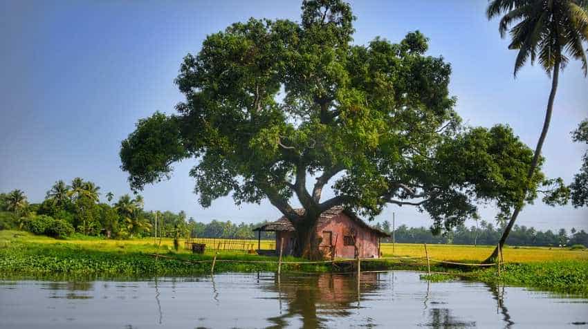Government to restore 130 wetlands across the country in next 5 years Government to restore 130 wetlands across the country in next 5 years