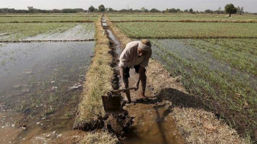 Riding on Cloud, India set to help farmers reap gold: AWS Riding on Cloud, India set to help farmers reap gold: AWS