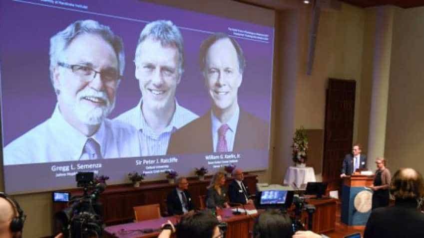 Nobel Prize 2019: William G Kaelin, Gregg L Semanza and Briton Peter J Ratcliffe awarded for work in medicine