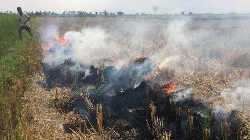 Air pollution: 30% rise in stubble burning cases in Punjab