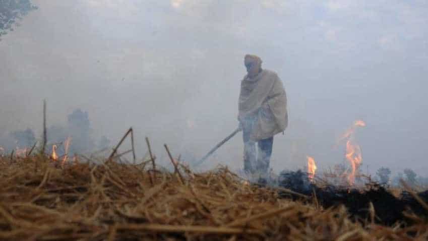 Air pollution update: Punjab to give Rs 2,500 relief for not burning paddy straw