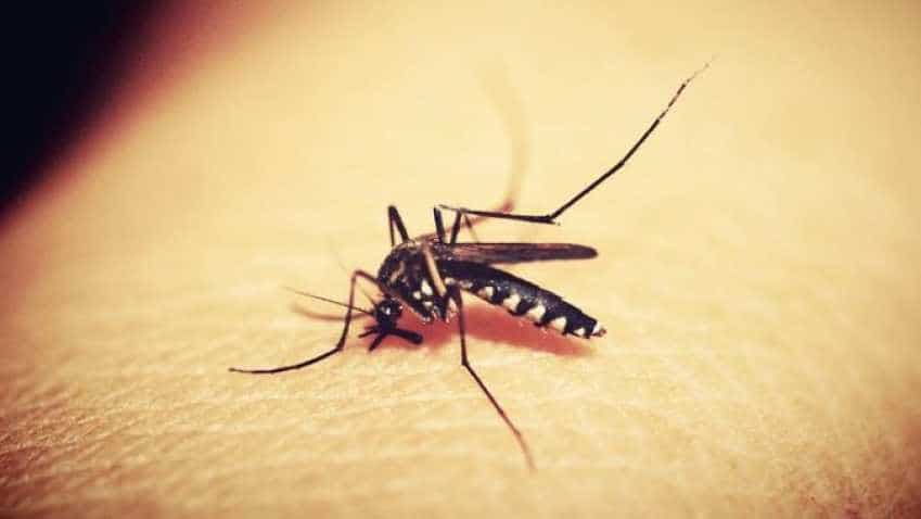 Mosquitoes and medical costs got you scared? Get relief, check out this affordable health insurance plan