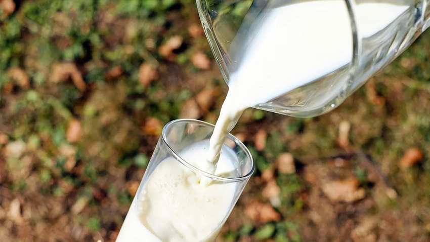 Amul, Mother Dairy milk prices hiked! Check new rates of Delhi, Noida, Ghaziabad, Maharashtra, Gujarat and other regions of full cream, toned and token Amul, Mother Dairy milk prices hiked! Check new rates of Delhi, Noida, Ghaziabad, Maharashtra, Gujarat and other regions of full cream, toned and token