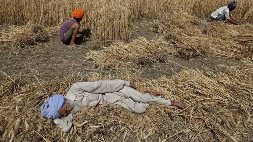 Pre-Budget meet: Punjab urges Centre to continue with MSP Pre-Budget meet: Punjab urges Centre to continue with MSP