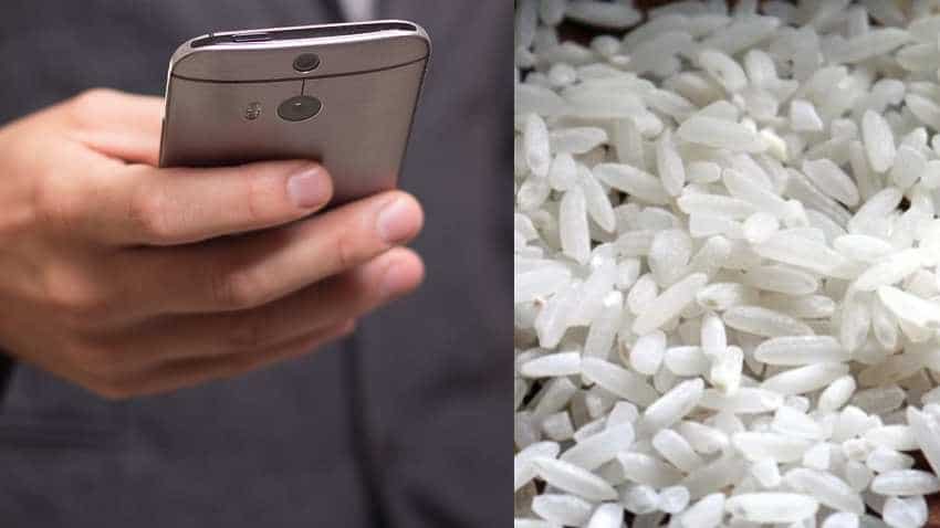 Believe it or not! Your smartphone can spot fake rice - Power of Artificial Intelligence! Believe it or not! Your smartphone can spot fake rice - Power of Artificial Intelligence!