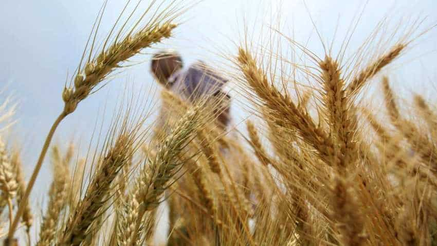 Rabi crops acreage up 7%, better output expected