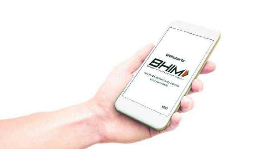 BHIM app to the forefront: Donations to akharas turn cashless in Magh Mela