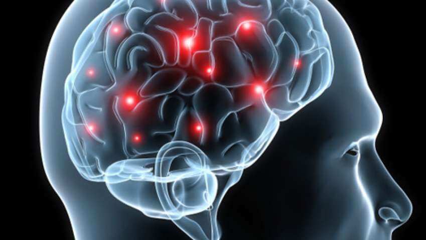 Your brain: Time of day linked to decrease in activity in specific regions,  says study