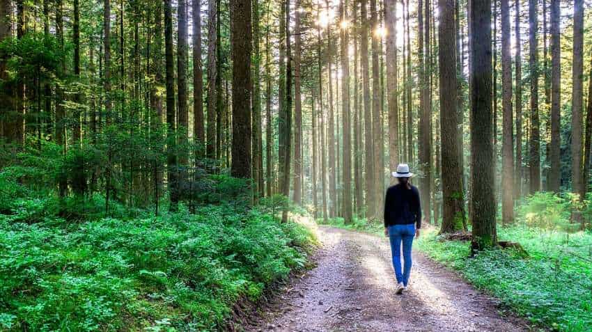 Stressed over board exams? Spend 10 mins daily with nature Stressed over board exams? Spend 10 mins daily with nature
