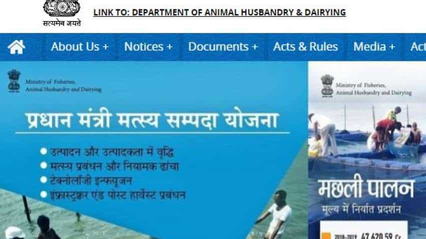 7th Pay Commission Latest News: Get prestigious job with Bumper pay!  Department of Fisheries offers Sarkari jobs