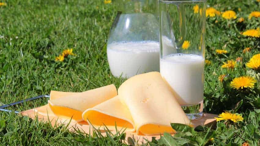 Dairy foods consumed in eastern Eurasia as early as 3,000 BC: Study