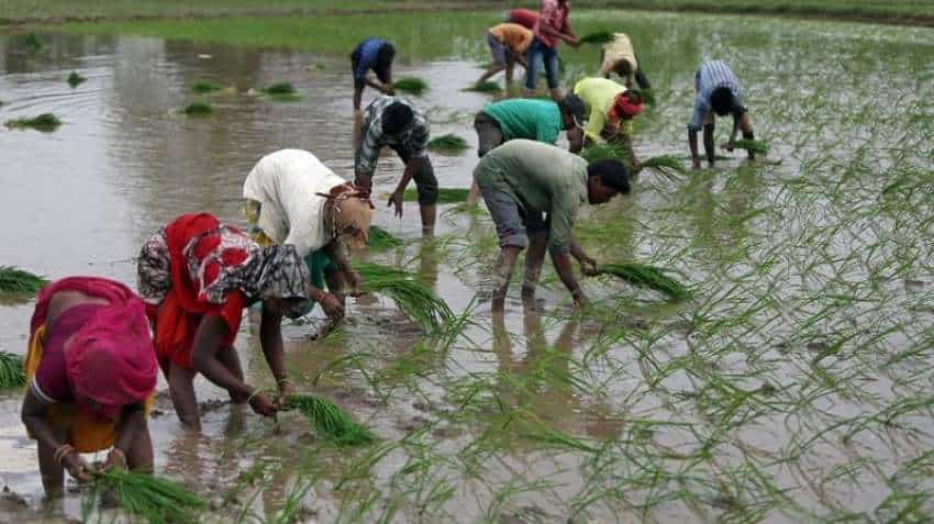 Modi government raises MSP for rabi, kharif crops for 2019-20 Modi government raises MSP for rabi, kharif crops for 2019-20