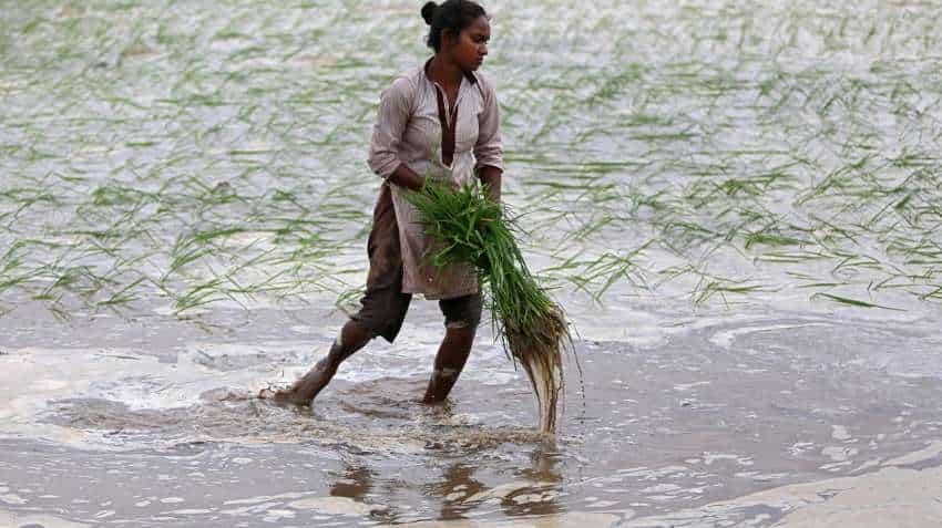 Coronavirus lockdown: Farmers can delay wheat harvesting till Apr 20, says ICAR Coronavirus lockdown: Farmers can delay wheat harvesting till Apr 20, says ICAR