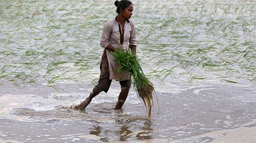 Coronavirus lockdown: Farmers can delay wheat harvesting till Apr 20, says ICAR