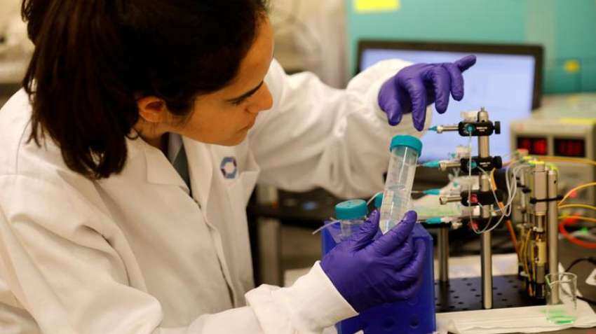 Scientists discover bacteria in solid rock deep beneath sea Scientists discover bacteria in solid rock deep beneath sea