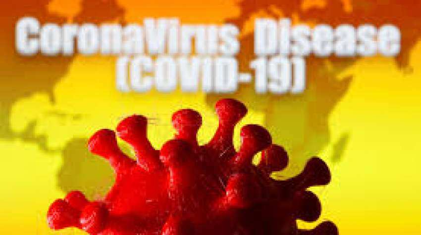 'How coronavirus jumped from animals to humans decoded' 'How coronavirus jumped from animals to humans decoded'