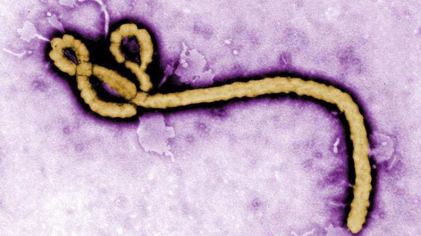 Ebola outbreak in Congo! New epidemic is1,000 km from eastern one