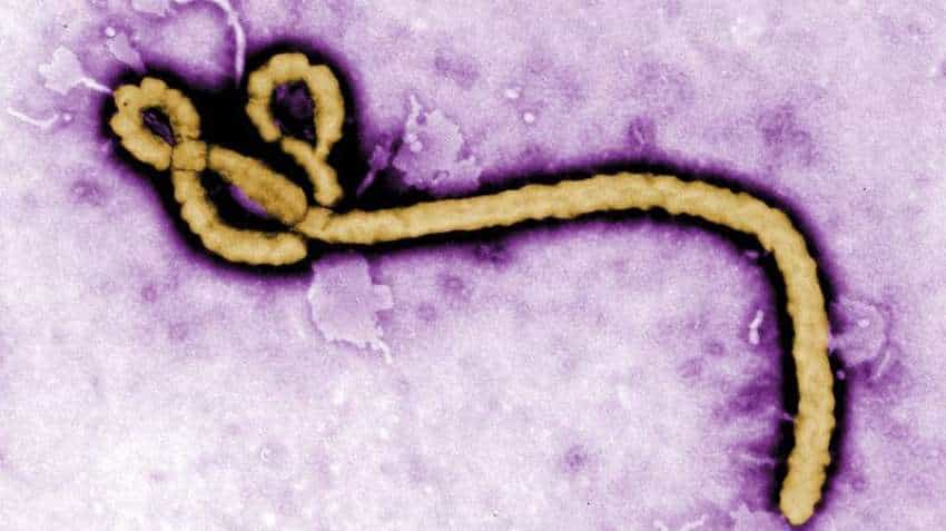 Ebola outbreak in Congo! New epidemic is1,000 km from eastern one Ebola outbreak in Congo! New epidemic is1,000 km from eastern one