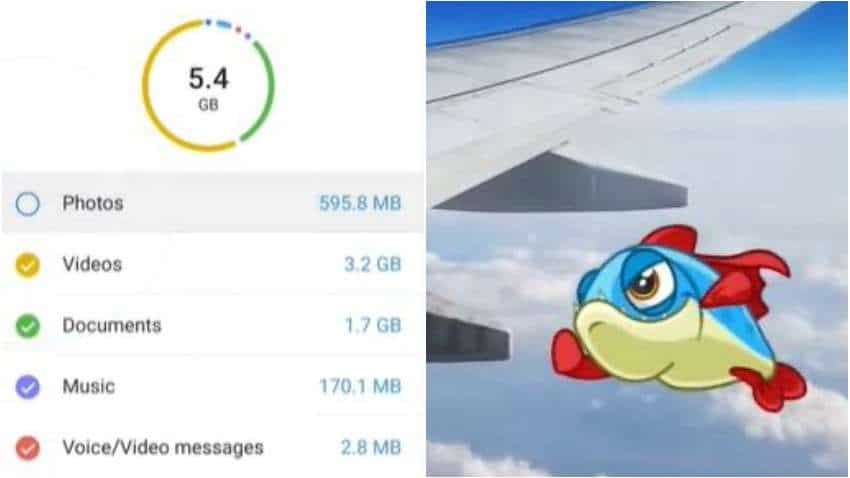 Telegram launches in-app video editor, animated stickers, other new features: All you need to know Telegram launches in-app video editor, animated stickers, other new features: All you need to know