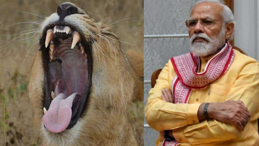 BIG ROAR! PM Narendra Modi has two very good news - Know all details here BIG ROAR! PM Narendra Modi has two very good news - Know all details here