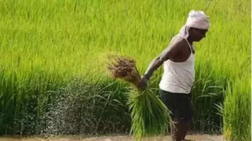 Monsoon showers happiness, kharif sowing increases 104 pct