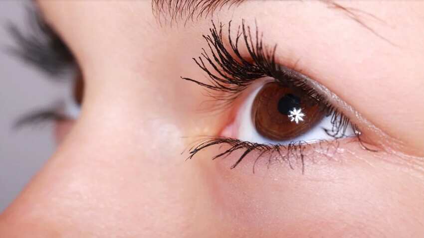 Staring at deep-red light may improve declining eyesight Staring at deep-red light may improve declining eyesight