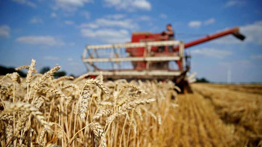 Record wheat procurement at 388.34 lakh tons