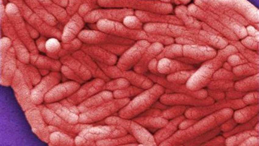 Bacteria in infants' first stool may indicate their obesity risk Bacteria in infants' first stool may indicate their obesity risk