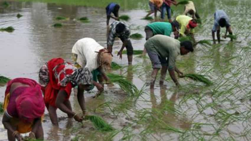 Heavy monsoon rains speed up crop planting in India