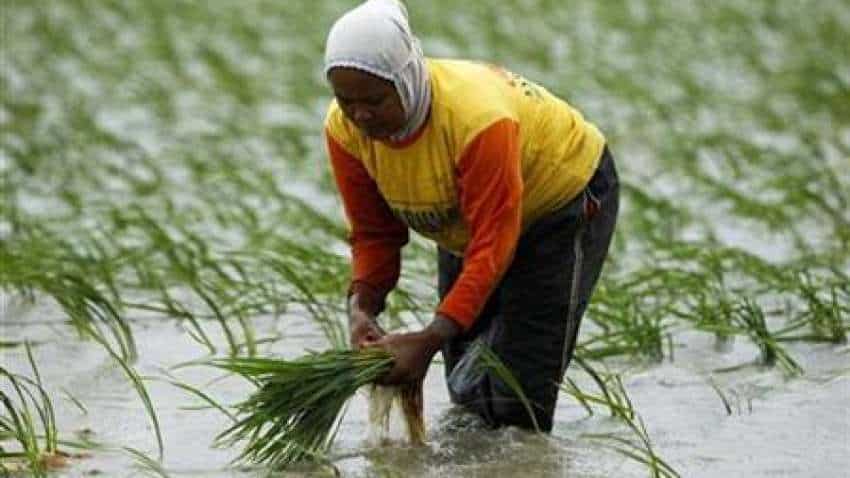 UP to start paddy purchase from Oct 1