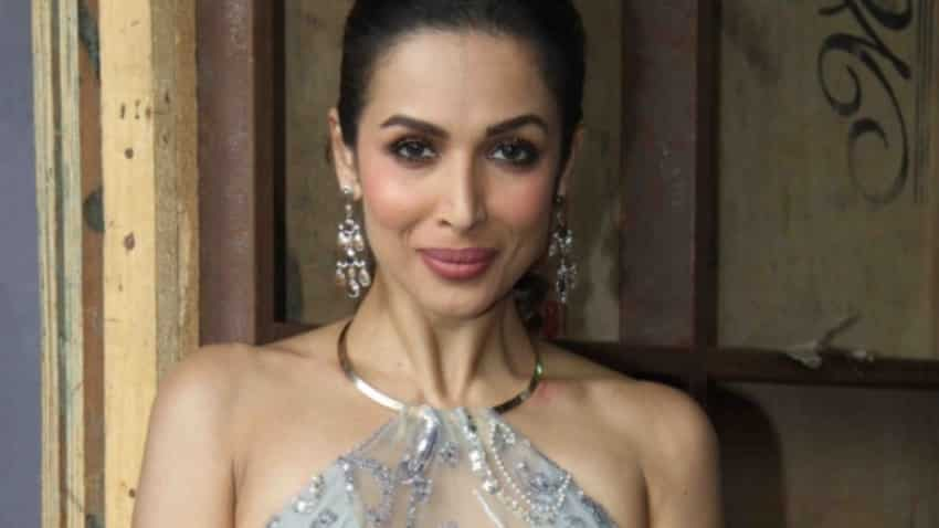 Malaika Arora Birthday Today As Actress Turns 47 Arjun Kapoor Says Happy Birthday My Fool Zee Business Paras arora to play abhimanyu in star plus' mahabharat. malaika arora birthday today as