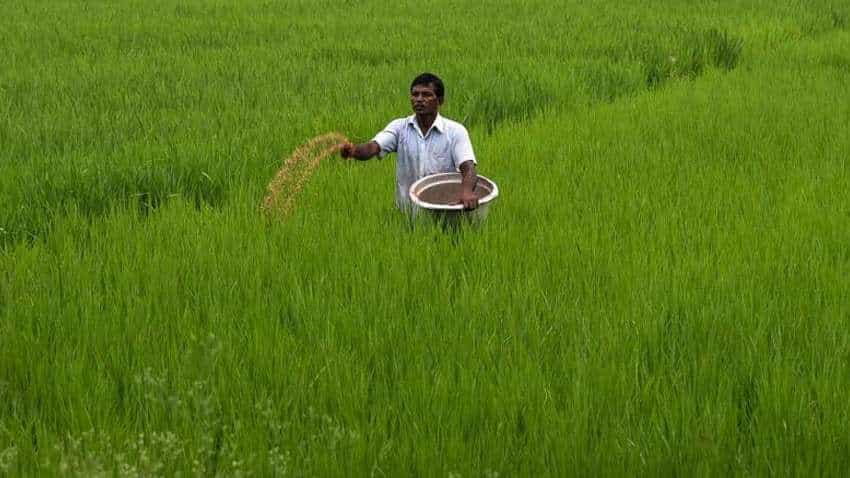 Centre procured over Rs 59-cr Kharif crops till Oct 23