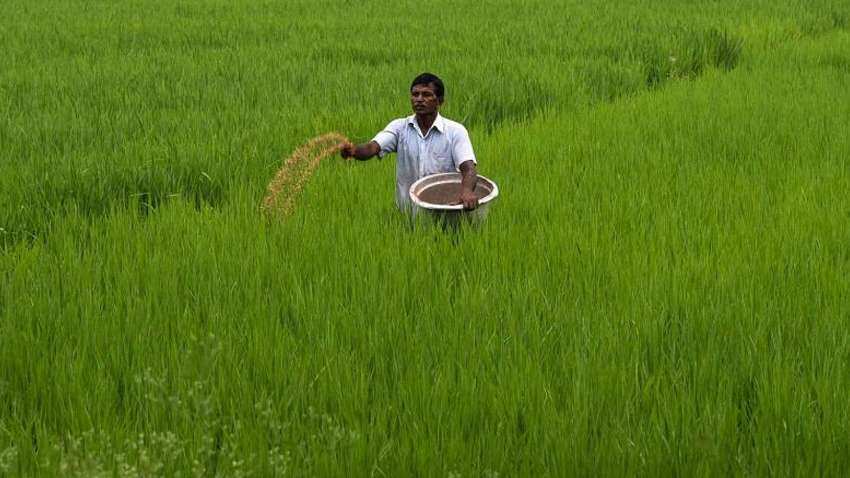 Centre procured over Rs 59-cr Kharif crops till Oct 23 Centre procured over Rs 59-cr Kharif crops till Oct 23