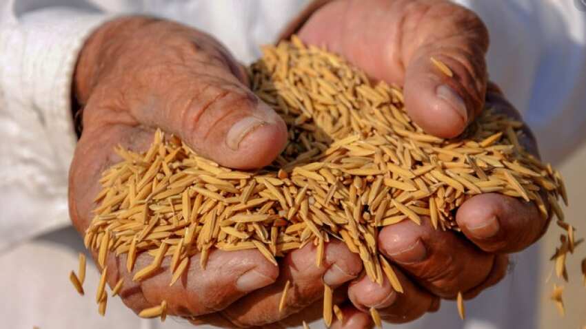Paddy Data so far! Government buys over 231 LMT from 19.48 lakh farmers in procurement drive; Punjab contributes 71%