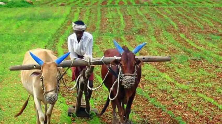 PM Kisan Scheme: 7th instalment in December |Here is how you can avoid errors that can stop fund from being credited to your account  