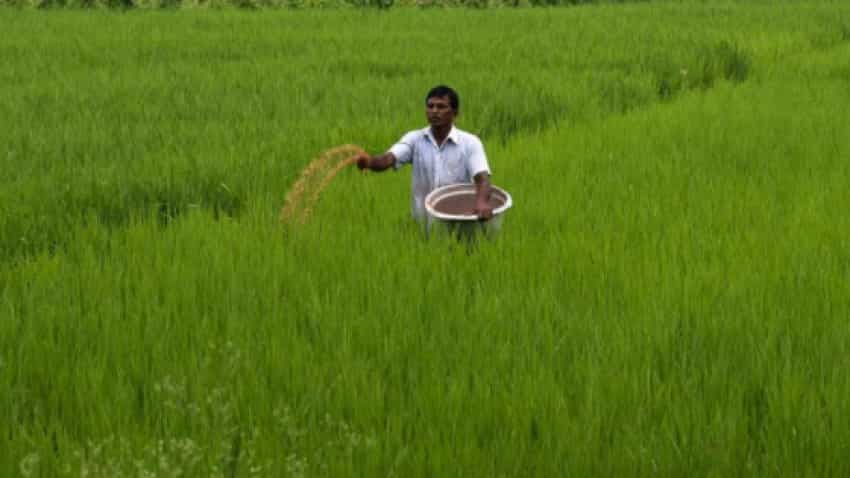 Pradhan Mantri Kisan Samman Nidhi scheme: Farmers to get 7th installment on this date | here is how you can check balance through 5 easy steps