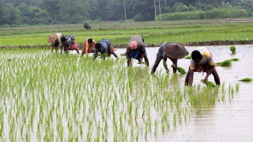 Allocation of Rs 3,100 cr for farmers&#039;&#039; pension in UP budget