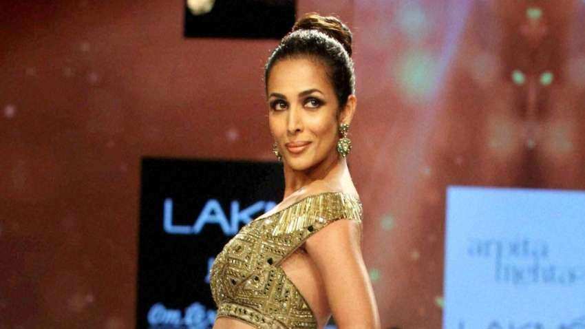 Malaika Arora shares her ''daily shenanigans'' Malaika Arora shares her ''daily shenanigans''