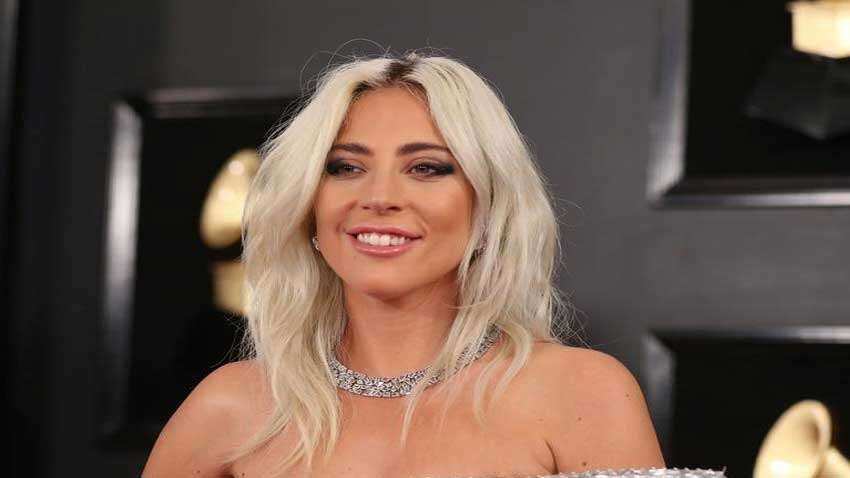 Lady Gaga offers $500,000 reward for stolen French Bulldogs Lady Gaga offers $500,000 reward for stolen French Bulldogs