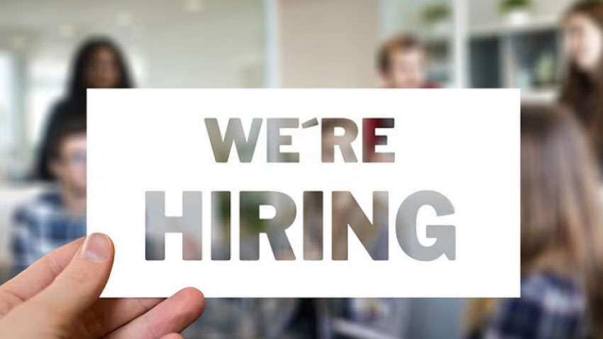 89 government posts vacant; salary up to Rs 1,80,000 per month - how to apply, age limit and other details 89 government posts vacant; salary up to Rs 1,80,000 per month - how to apply, age limit and other details