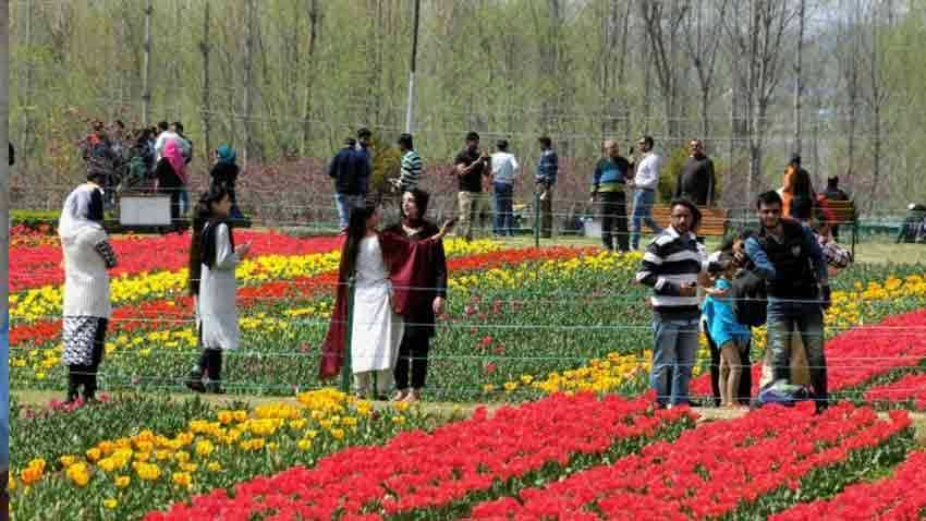 Spring blooms as mercury rises in Kashmir